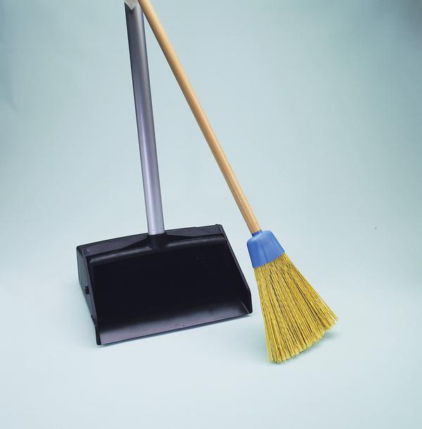 Dust Pan Broom