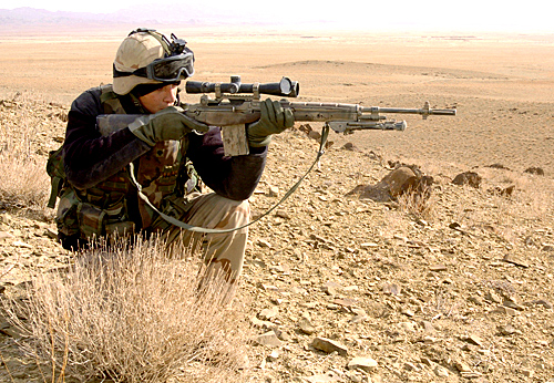 M-14 Rifles from the Army Property web site